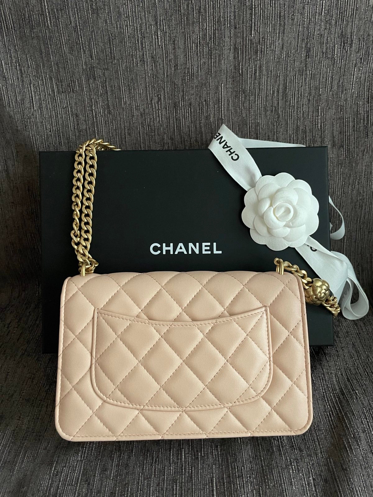 Chanel Wallet on Chain - Beige Clair