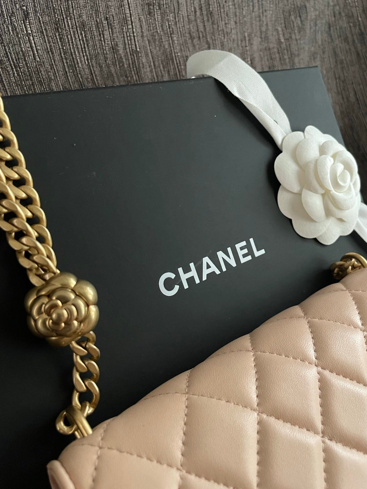 Chanel Wallet on Chain - Beige Clair