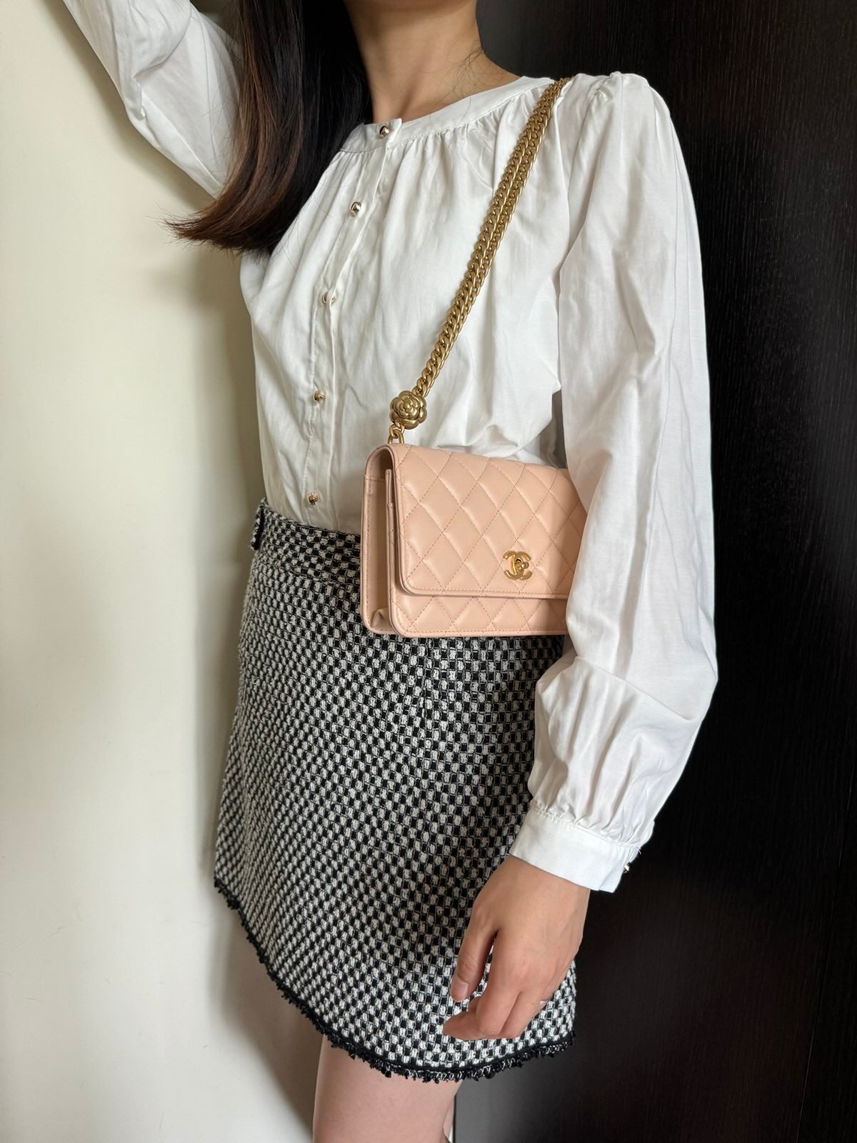 Chanel Wallet on Chain - Beige Clair