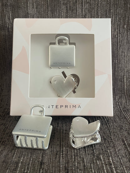 Anteprima Hair Clip Set of 2