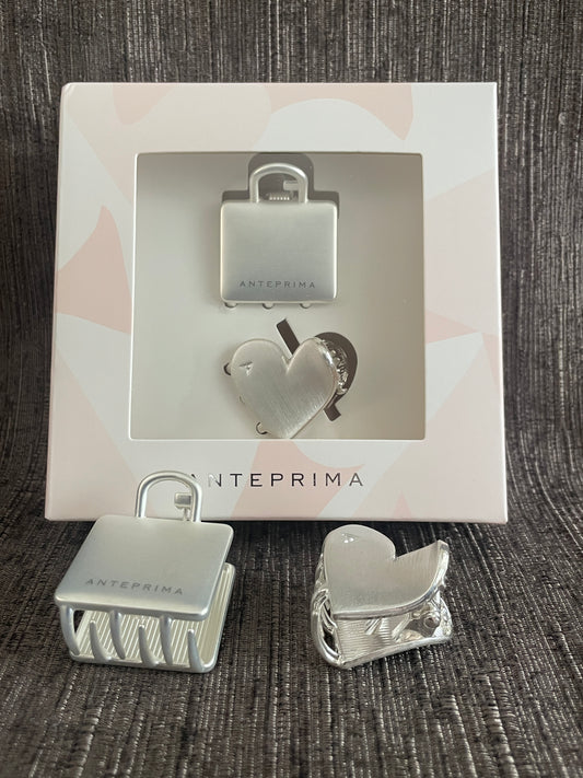 Anteprima Hair Clip Set of 2